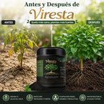TapKets Viresta Soil Activator 300g Activador de Suelo Natural
